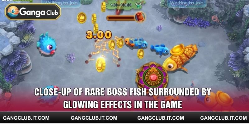 Close-up of rare boss fish surrounded by glowing effects in the game