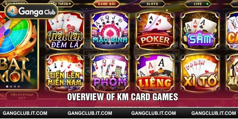 Comprehensive platform offering secure, updated, and engaging card gameplay