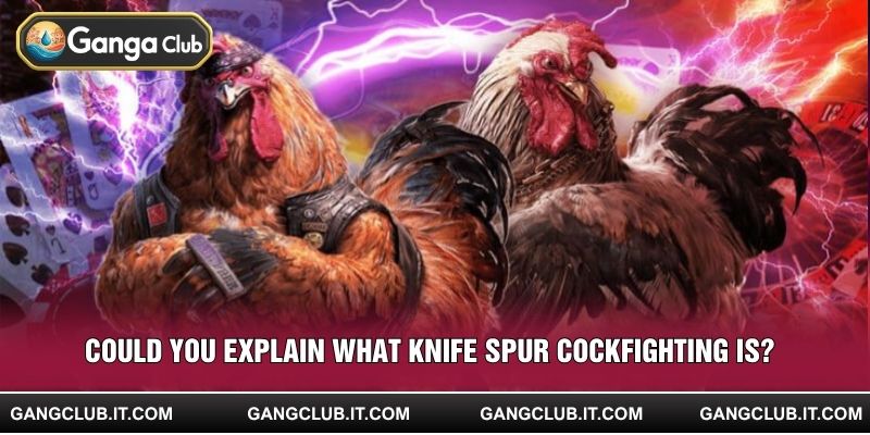 Could you explain what Knife Spur Cockfighting is?