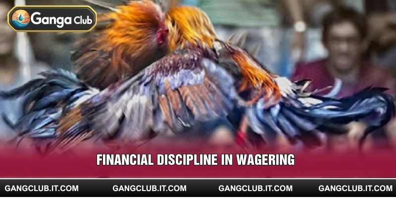 Financial Discipline in Wagering
