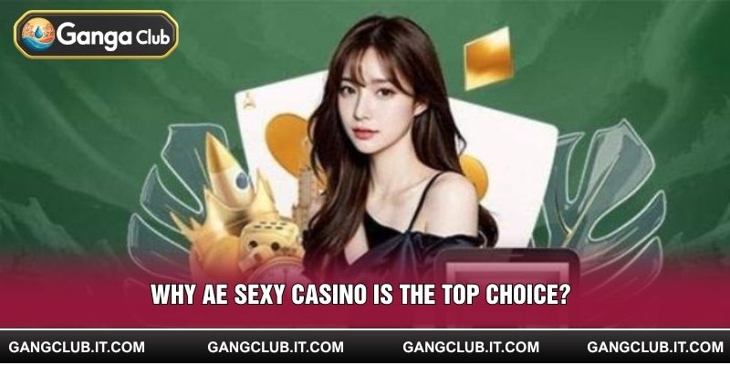 Why AE Sexy Casino is the top choice?