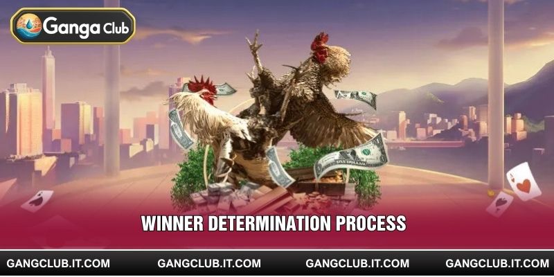 Winner Determination Process